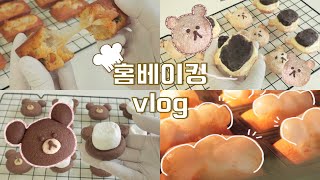 ENG👩🏻‍🍳🍫찰떡 휘낭시에 더블 초코칩 휘낭시에 앙버터 다쿠아즈 초코 스모어 쿠키 만드는 홈베이킹 브이로그 Homebaking dessert vlog [upl. by Lauer632]