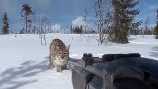 Jakt För Livet Björn amp Lo Trailer [upl. by Rehpoitsirhc679]