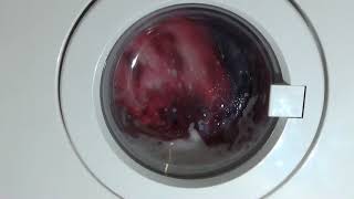 Review and Demo Tricity Bendix CAW1200 Washing Machine [upl. by Ellimaj]