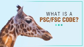 PSC vs FSC Codes Everything You Need to Know for Government Contracts [upl. by Aleekahs]