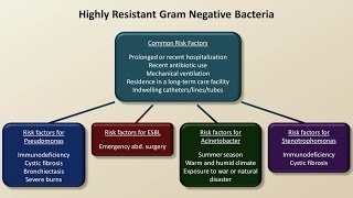 Antibiotics for Gram Negative Infections Antibiotics  Lecture 5 [upl. by Litt374]