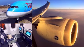 Curaçao  Amsterdam TUI Airlines Boeing 7878 Dreamliner in Deluxe Class Premium Economy [upl. by Loleta27]