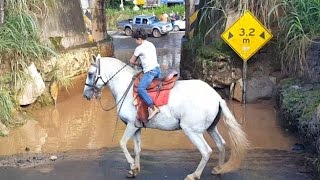 Colocando o cavalo Gaúcho pra atravessar um alagado [upl. by Dronski492]