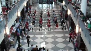 Flash Mob Dance at Ohio States Union May 3 2010 [upl. by Evreh]