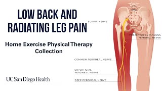 Low Back amp Radiating Leg Pain Home Exercises  UC San Diego Health [upl. by Kolva]