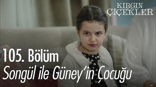 Songül ile Güneyin çocuğu  Kırgın Çiçekler 105 Bölüm [upl. by Fast585]