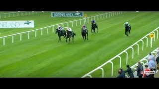 Curragh racing highlights featuring the Keeneland Phoenix Stakes Group 1  12th August 2018 [upl. by Mandel]