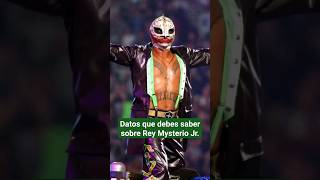 Datos que debes saber sobre Rey Mysterio Jr [upl. by Heyes]