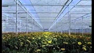 Staklenici  Total Solution Greenhouse Projects [upl. by Masha]