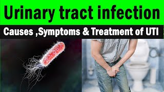 What is urinary tract infection  Symptoms amp Treatment of UTI Clear explanation [upl. by Tonye106]