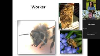 2024 Beekeeping Webinar Series Beekeeping 101 [upl. by Acinomed]