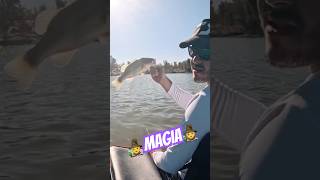 MAGIA🧙 pesca fishing pescatarian fishinglife blackbass blackbassfishing pescaria pescara [upl. by Hakan]