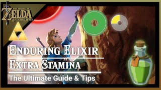 Enduring Elixir Extra Stamina Wheel Best Elixir Ingredients  Zelda Breath of The Wild [upl. by Ydnir]