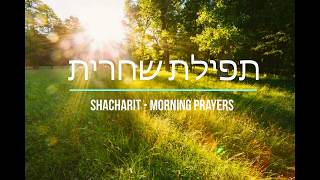 Shacharit Morning Prayers תפילת שחרית [upl. by Hughie]