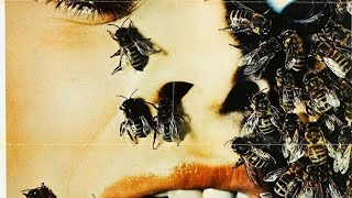 Abejas Asesinas Película Completa en Español Latino  Películas TONCONI [upl. by Aitak425]