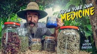 GROW YOUR OWN MEDICINE  5 Medicinal Herbs you need to know [upl. by Irrehs]