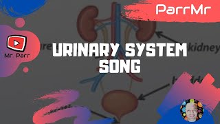 Urinary System Song [upl. by Adim]