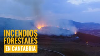 🔥 INCENDIOS forestales ¿Por qué OCURREN [upl. by Nogras]