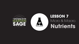 Macro Vs Micro Plant Nutrients  Lesson 7 [upl. by Rahman432]