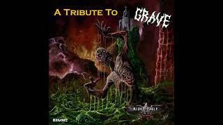 Into The Grave Evil Incarnate  Grave Cover [upl. by Aneleve]