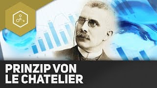 Le Chatelier  Das Prinzip vom kleinsten Zwang  REMAKE [upl. by Briggs]