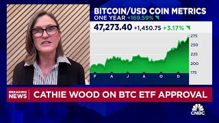 ARK Invest CEO Cathie Wood Our base case for bitcoin is 600000 bull case 15 million by 2030 [upl. by Devona]