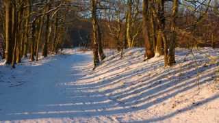 HD 1080p CC In The Bleak Midwinter Christina Rossetti [upl. by Abijah171]