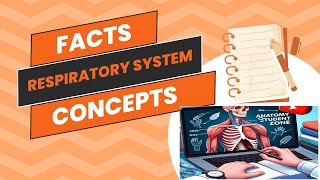 Anatomy of Respiratory System Facts amp Concepts Anatomy Student Zone [upl. by Rasaec102]