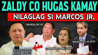 JUST IN ZALDY CO NAGHUGAS KAMAY NA NILAGLAG SI PBBM VP SARA DPWH EBIDENSIYA NILABAS ni VILLANUEVA [upl. by Latona217]