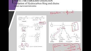 Drug Metabolism [upl. by Charpentier846]