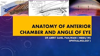 ANATOMY OF ANTERIOR CHAMBER AND ANGLE OF EYE [upl. by Macswan]