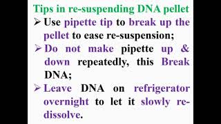 Tips of Resuspending DNA Pellet [upl. by Tadeo5]