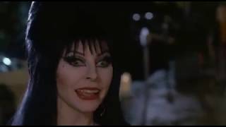 Watch Elvira Mistress of the Dark 1988 [upl. by Favian]