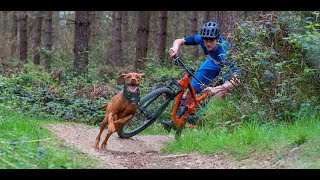 DOWNHILL Vs DOGS [upl. by Brenan455]