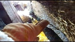 A Stream that sinks down into Caves  Marmora Ontario [upl. by Rennane]