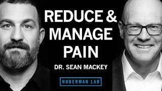 Dr Sean Mackey Tools to Reduce amp Manage Pain [upl. by Alael765]