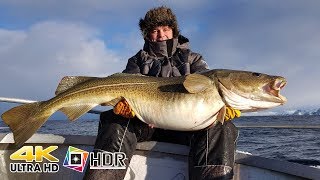 Rybolov tuniaci Chorvátsko 2015 big game fishing [upl. by Mccormac]