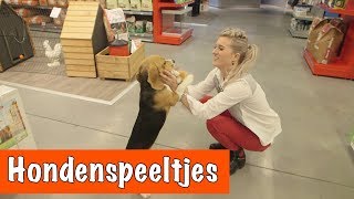 Hondenspeeltjes testen  DierenpraatTV [upl. by Aisnetroh]