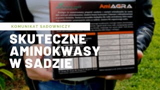 Skuteczne aminokwasy w sadzie Dlaczego warto stosować AmiAgrę [upl. by Virg]