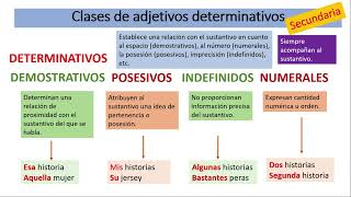 Adjetivos determinativos [upl. by Yaf]