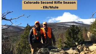 Colorado Second Rifle Season  ElkMule Deer Hunt [upl. by Atnamas]