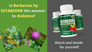 Berberine vs Metformin  The Amazing Benefits of Berberine [upl. by Gwenn50]