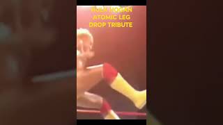 HULK HOGAN LEG DROP TRIBUTE [upl. by Neirad]