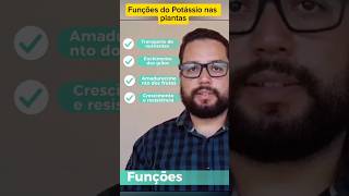 Funções do Potássio nas plantas novasafra agricultura fertilizantes Potássio agro adubação [upl. by Adnic]