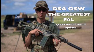 DSA OSW UPDATE  AND WHY ITS THE GREATEST FAL [upl. by Elletse]