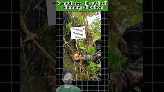 kamuflase all out jadi siamang di pohon tni polisi feed short video [upl. by Tloc]