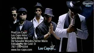 Hector el Father feat Varios Artistas  Los Capos  Los Capo  © 2007 [upl. by Sawyer]