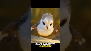 This little bird learn lifehack shorts [upl. by Reld]