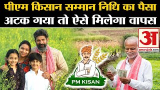 PM Kisan Samman Nidhi 17th Installment अटक गया पैसा तो ऐसे मिलेगा वापस  Kisan Samman Nidhi Yojana [upl. by Seleta224]