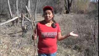 Native Yavapai Speaker Part I [upl. by Lihp408]